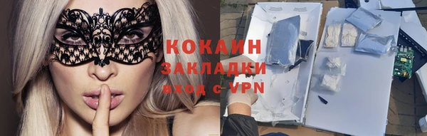 винт Болотное