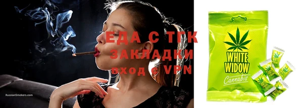 ПСИЛОЦИБИНОВЫЕ ГРИБЫ Осинники