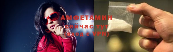 ПСИЛОЦИБИНОВЫЕ ГРИБЫ Осинники