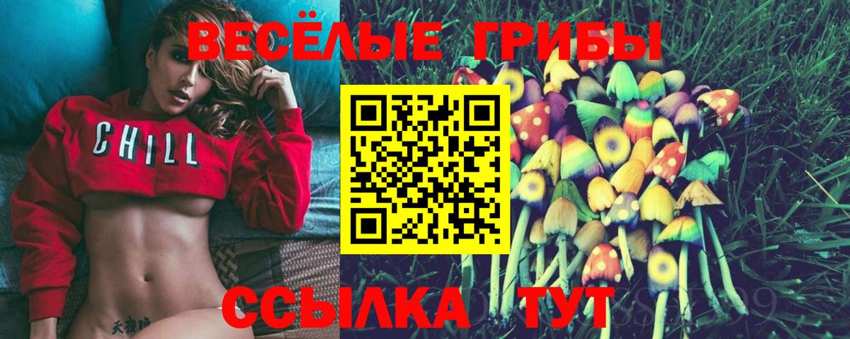 Псилоцибиновые грибы ЛСД  Галлюциногенные грибы Psilocybe  Лиски  Вход с VPN 